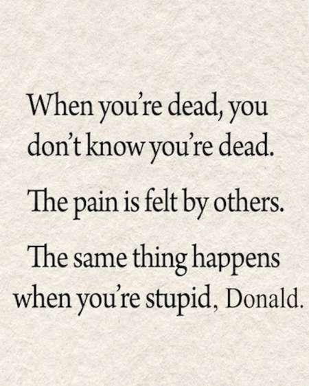 Stupid_Donald